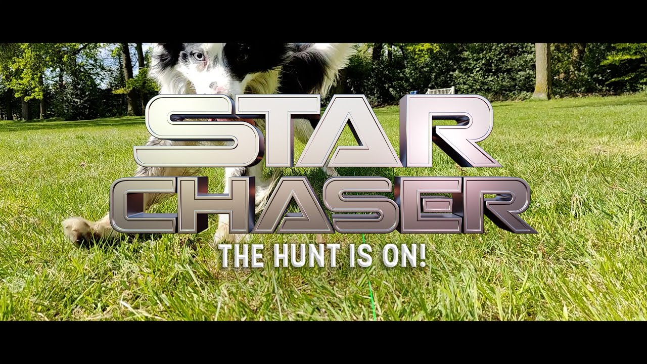Dog Comets Star Chaser 2025 Dog Comets Star Chaser - Afbeelding 2