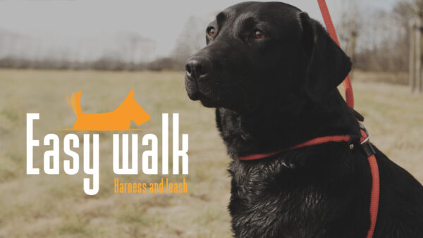 Easy Walk Handmodel Rood - Afbeelding 3