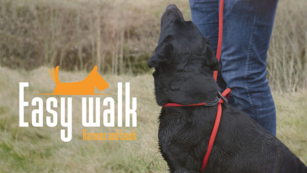 Easy Walk Handmodel Rood - Afbeelding 4