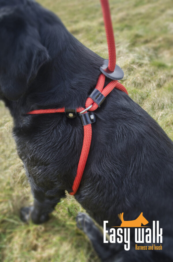 Easy Walk Handmodel Rood - Afbeelding 5