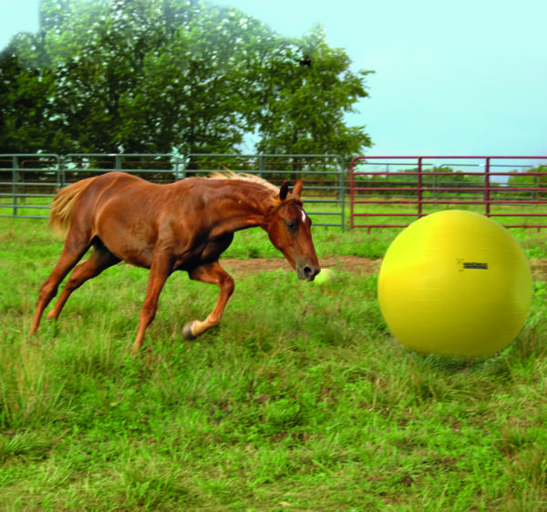 Maximus Power Play Ball 100cm - Afbeelding 3