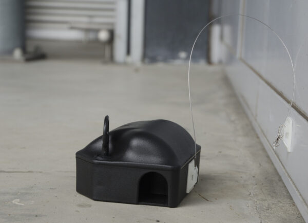 Plak-anker voor voerdoos tweezijdig 25cm + haak (set=10st)