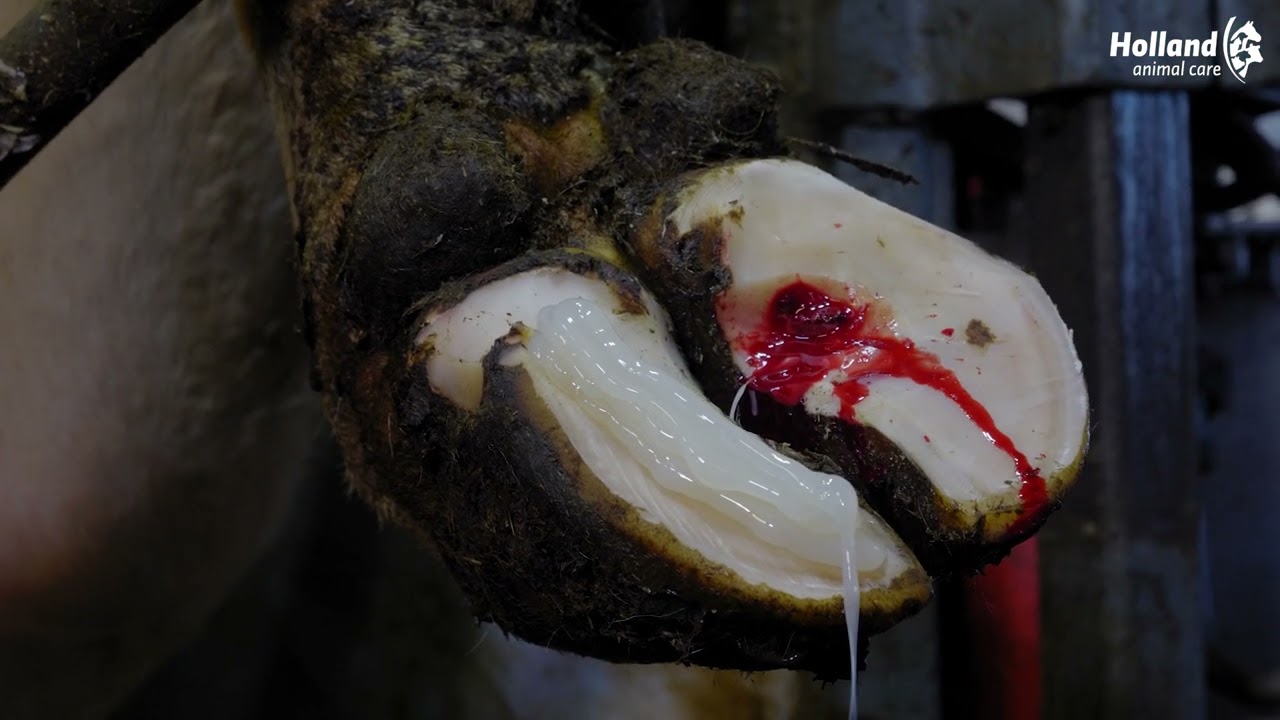 Excellent Easy2do Glue 200 ml 2025 Excellent Easy2do Glue 200 ml - Afbeelding 2