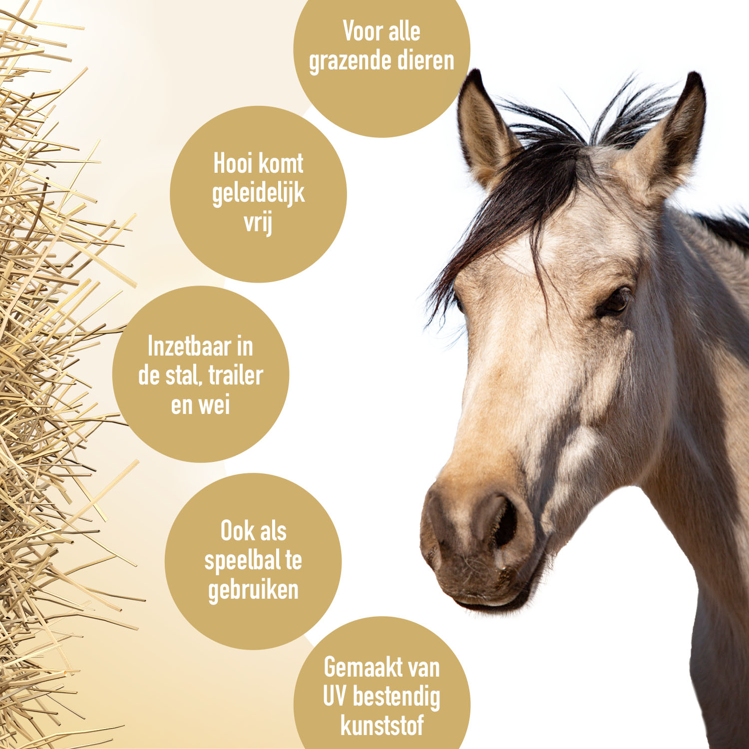 Hay Slow Feeder Fun & Flex Groen 2025 Hay Slow Feeder Fun & Flex Groen - Afbeelding 2