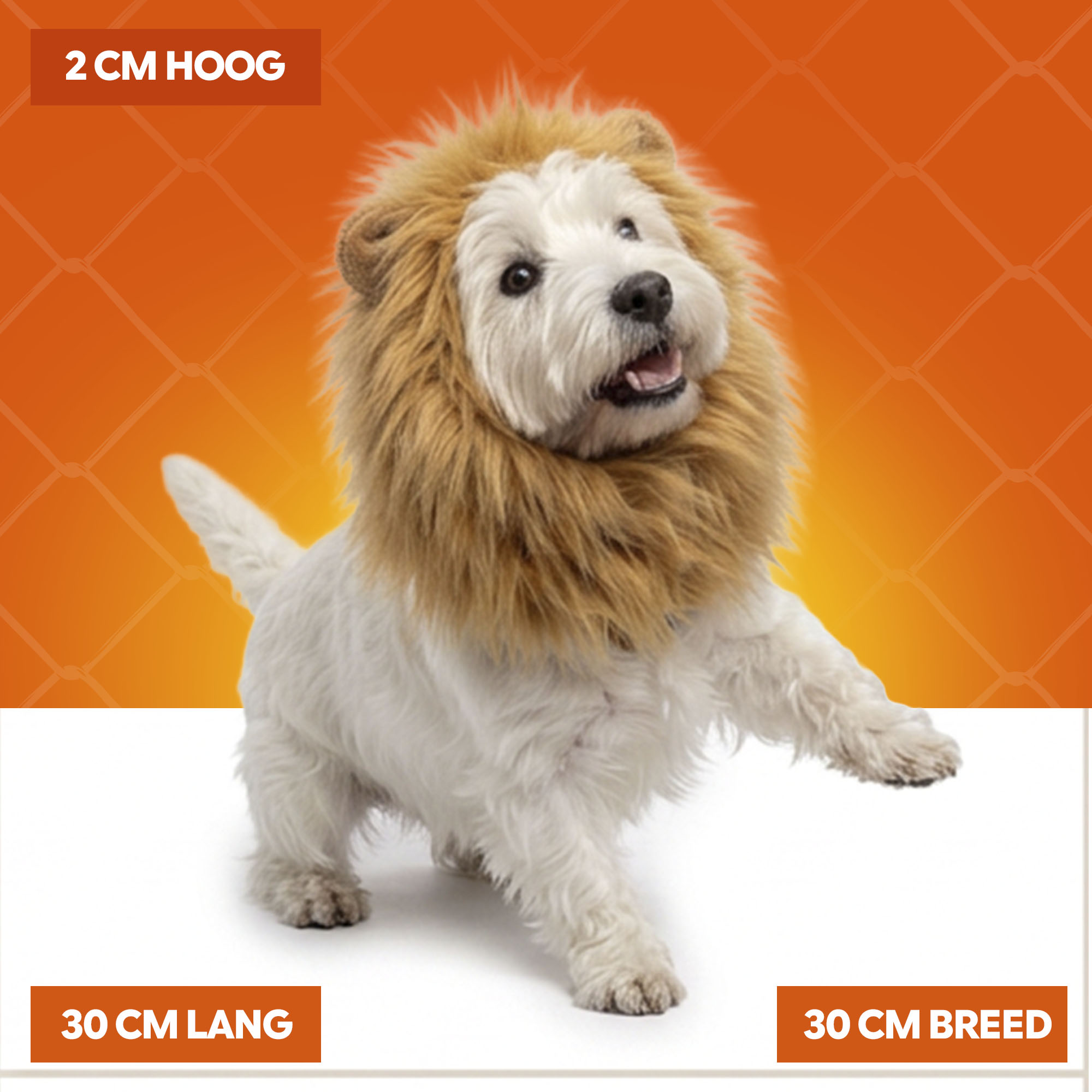 Oranje Manen Tooi M 2026 Oranje Manen Tooi M - Afbeelding 5