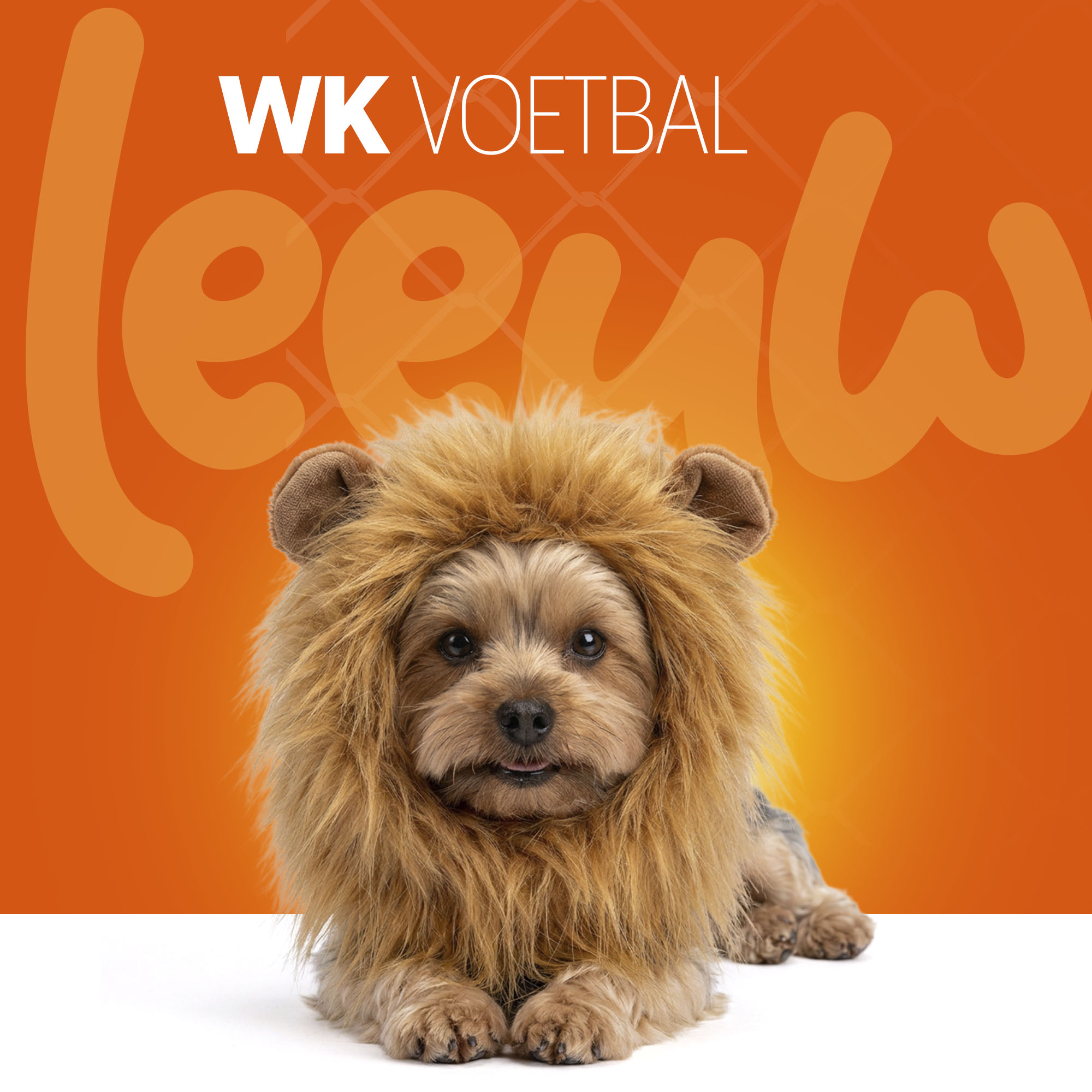 Oranje Manen Tooi S 2026 Oranje Manen Tooi S - Afbeelding 2