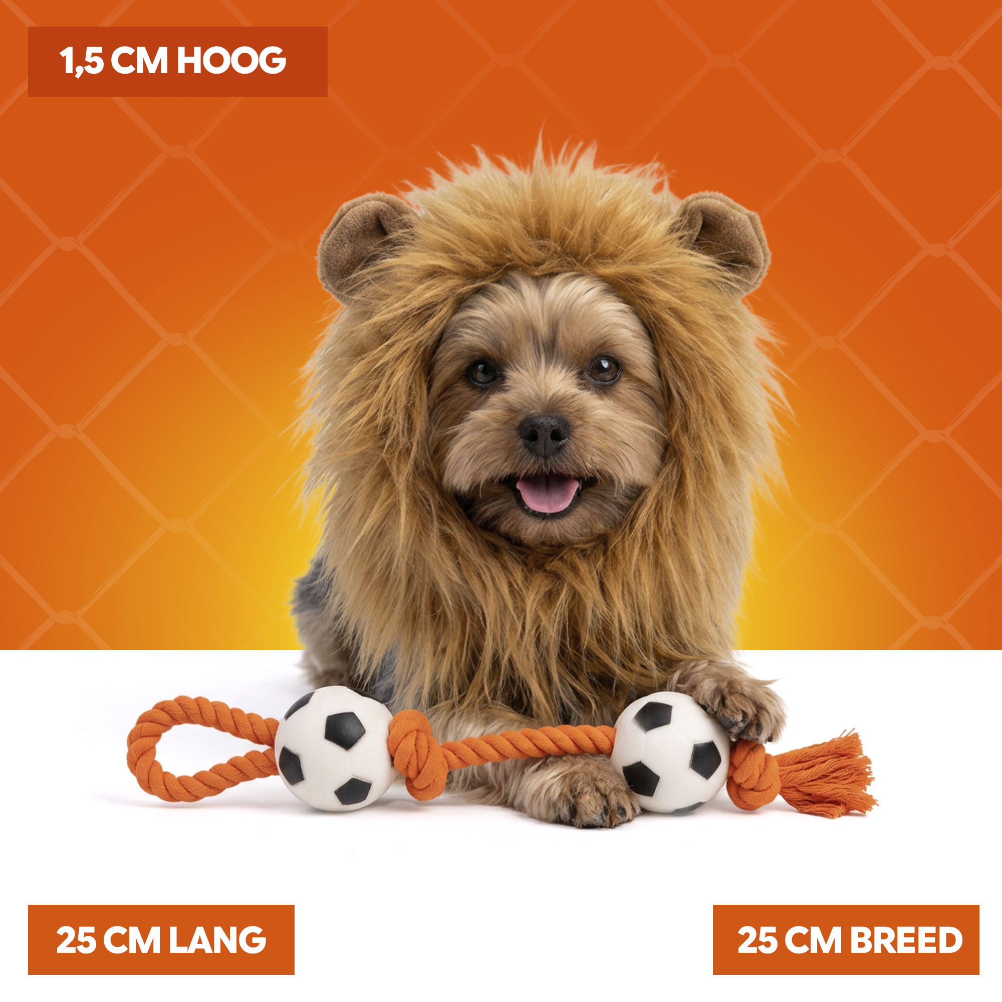 Oranje Manen Tooi S 2026 Oranje Manen Tooi S - Afbeelding 5