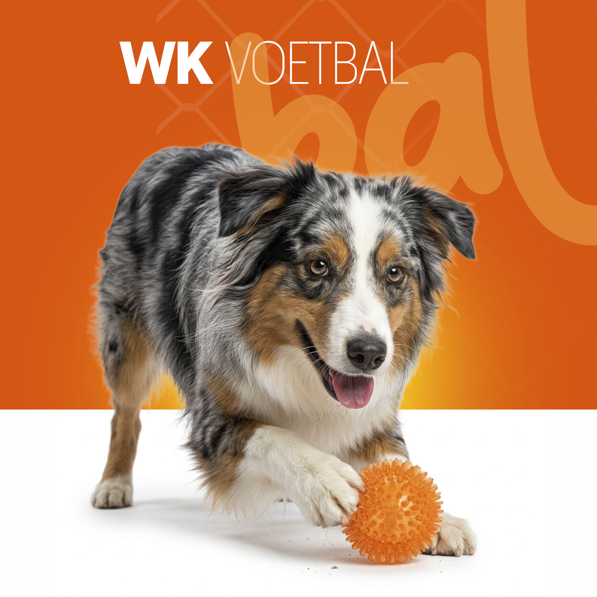 Oranje Egelbal M 2026 Oranje Egelbal M - Afbeelding 2