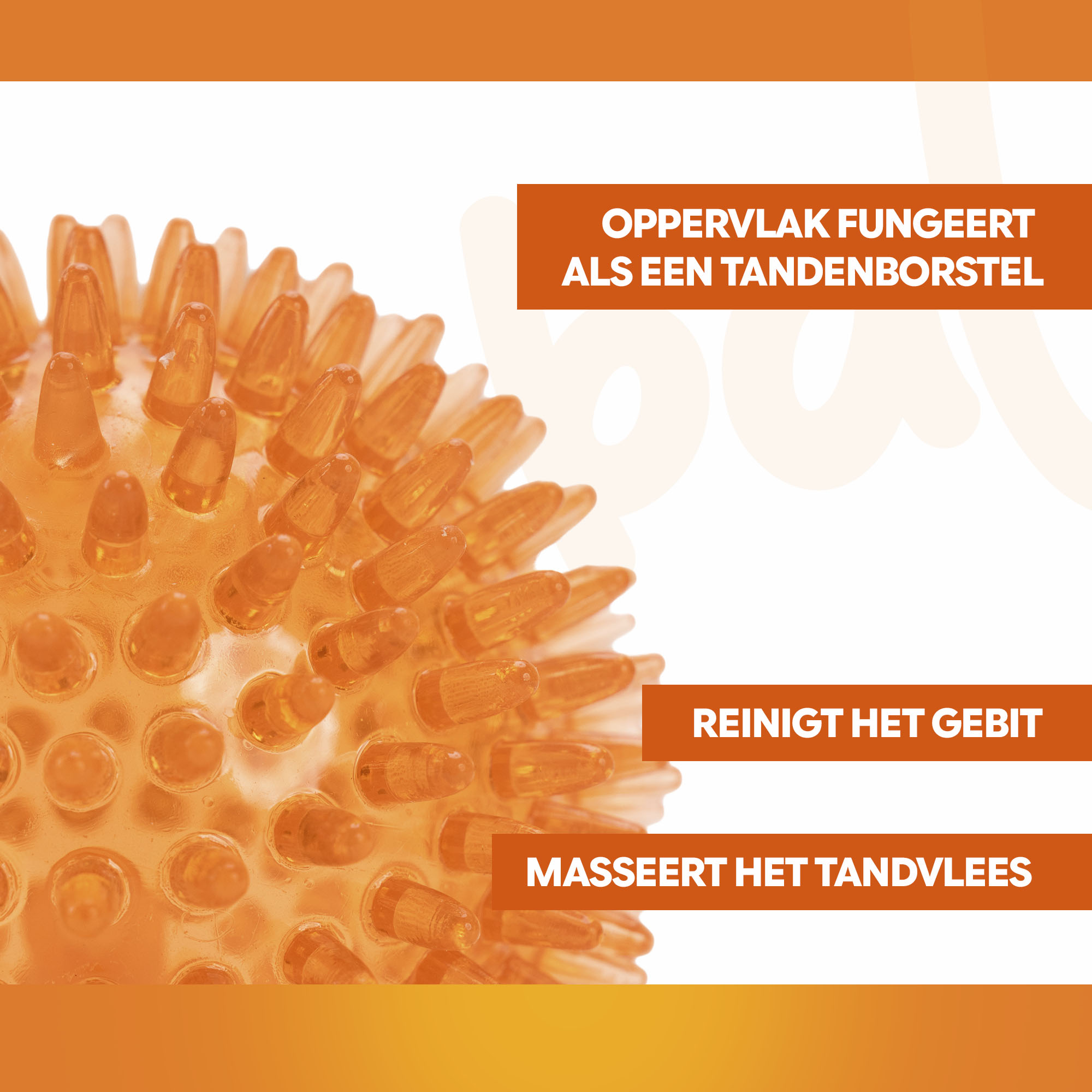 Oranje Egelbal M 2026 Oranje Egelbal M - Afbeelding 3