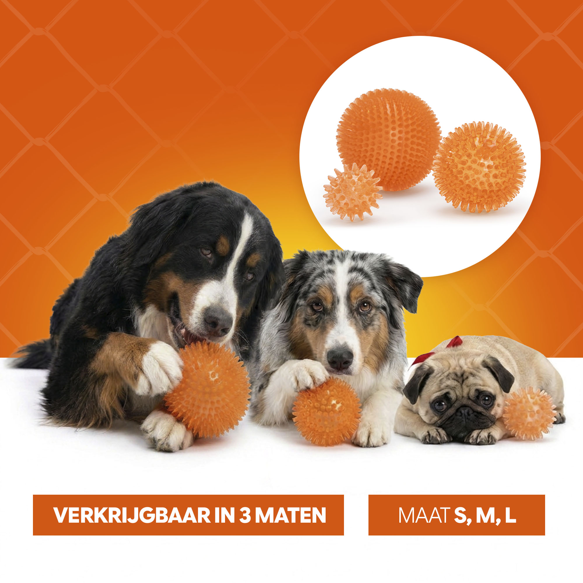 Oranje Egelbal M 2026 Oranje Egelbal M - Afbeelding 6