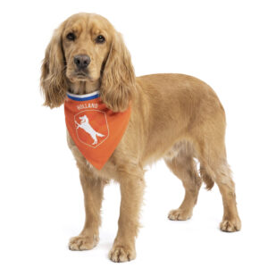 Oranje Bandana Holland M