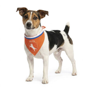 Oranje Bandana Holland S