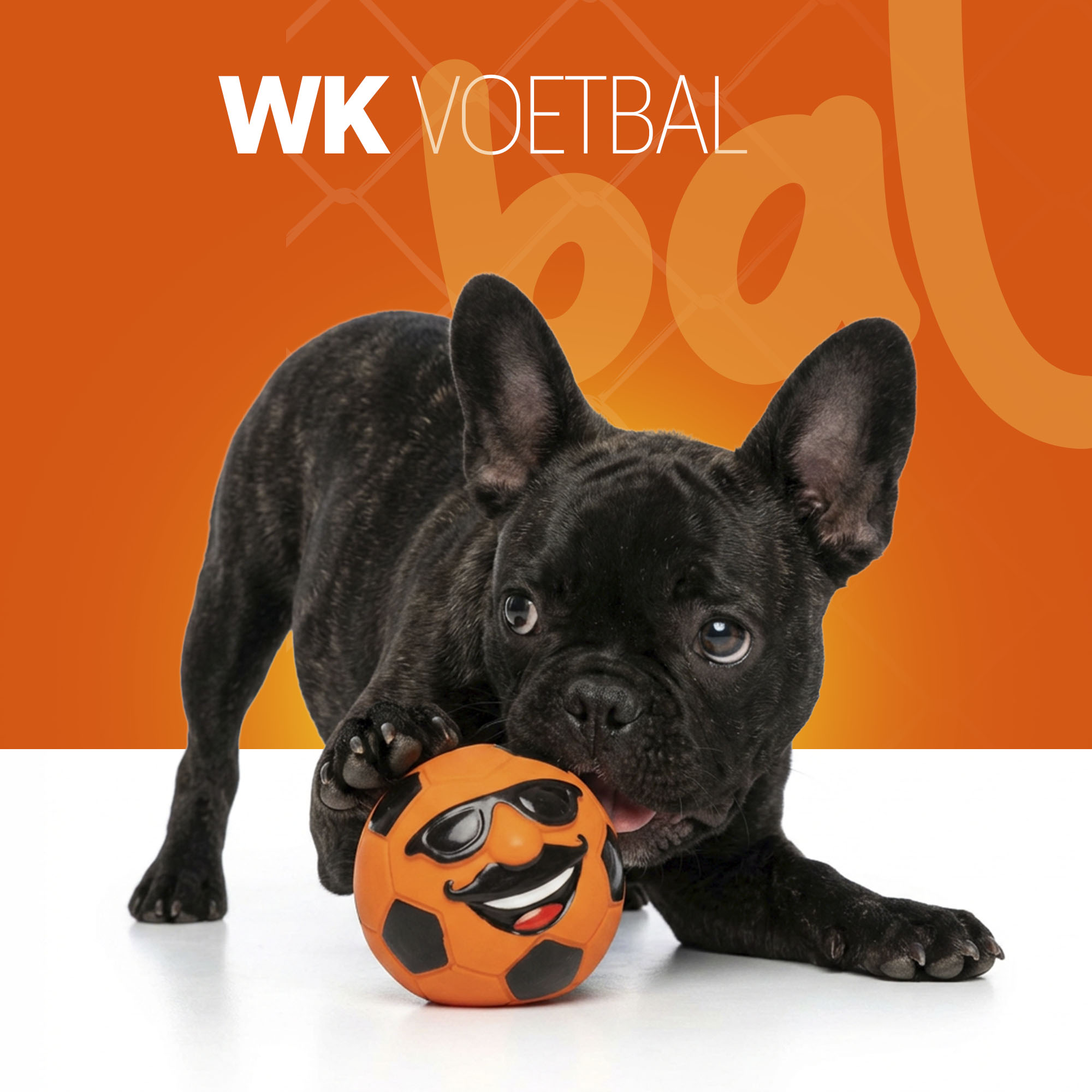 Oranje Mr. Dutch M 2026 Oranje Mr. Dutch M - Afbeelding 2