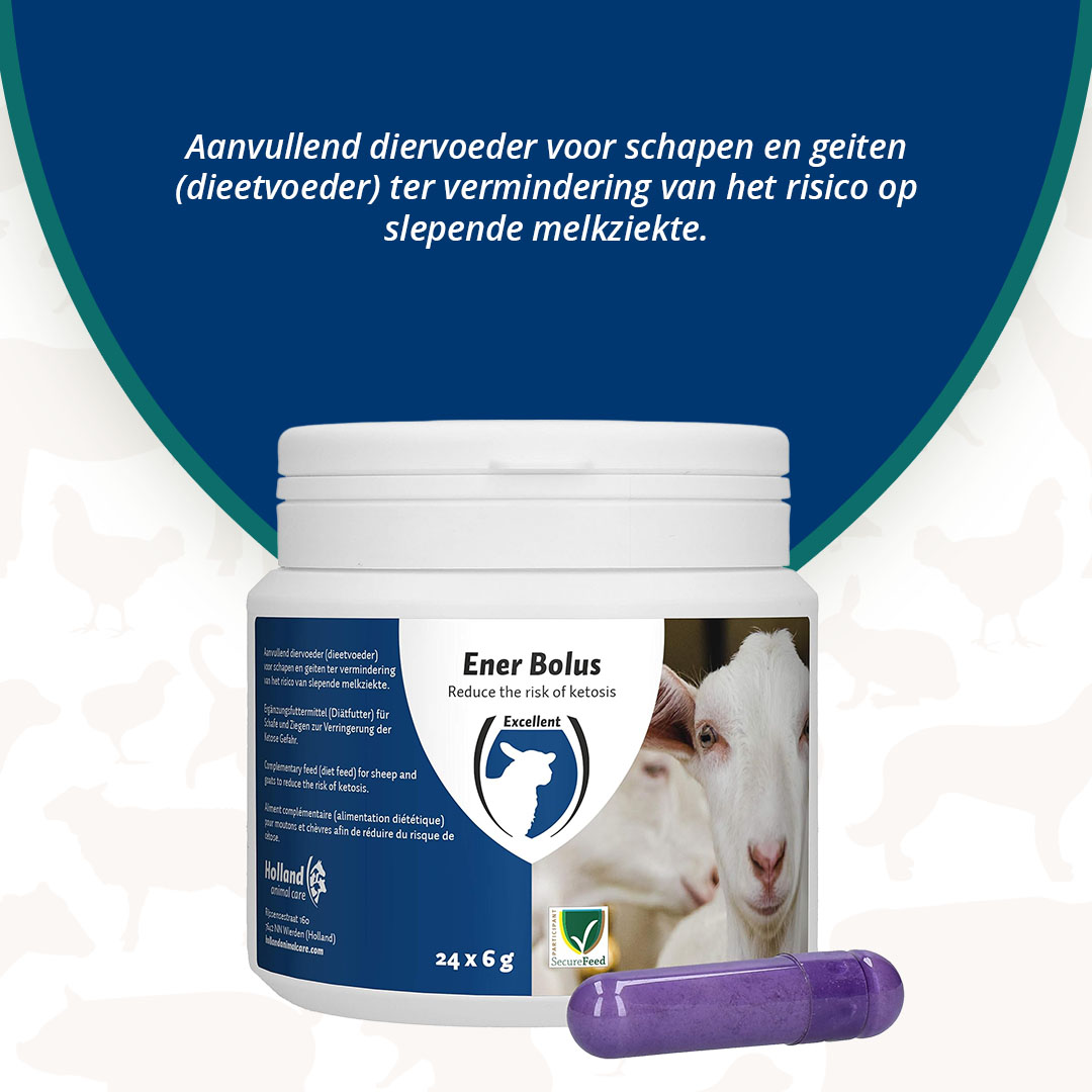 Excellent Ener Bolus Schaap & Geit 2026 Excellent Ener Bolus Schaap & Geit - Afbeelding 3