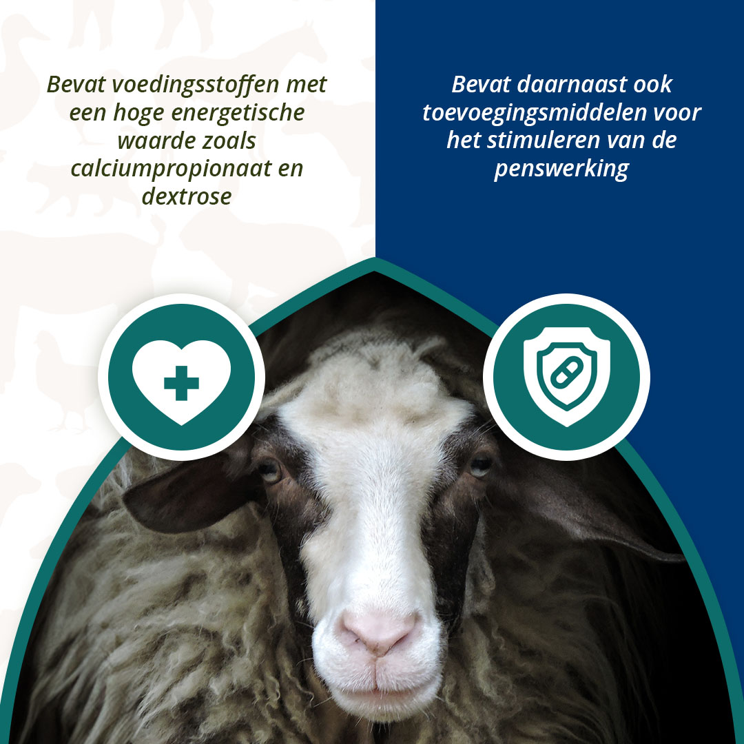 Excellent Ener Bolus Schaap & Geit 2026 Excellent Ener Bolus Schaap & Geit - Afbeelding 4