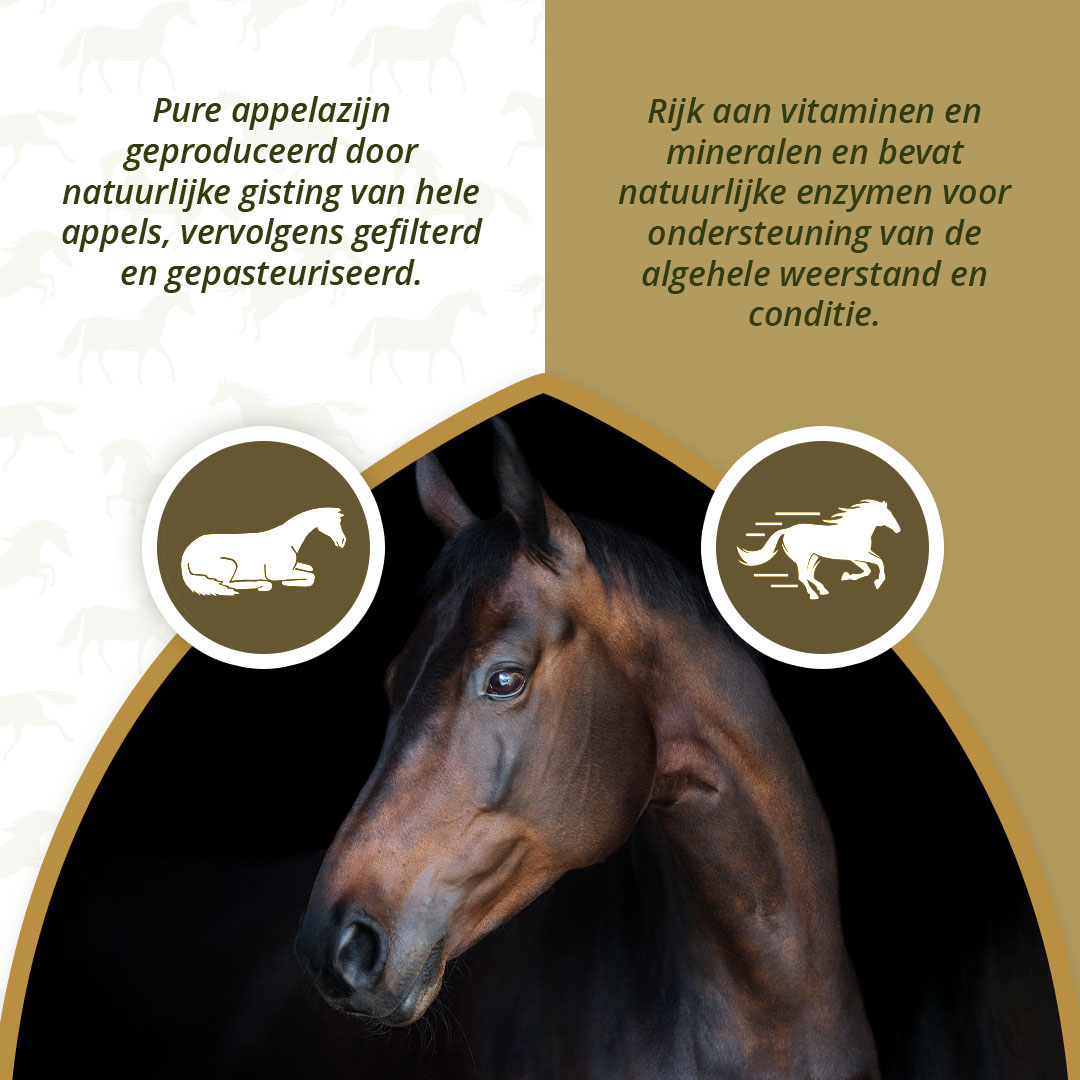 Excellent Horse Apple Vinegar 1 l 2026 Excellent Horse Apple Vinegar 1 l - Afbeelding 3