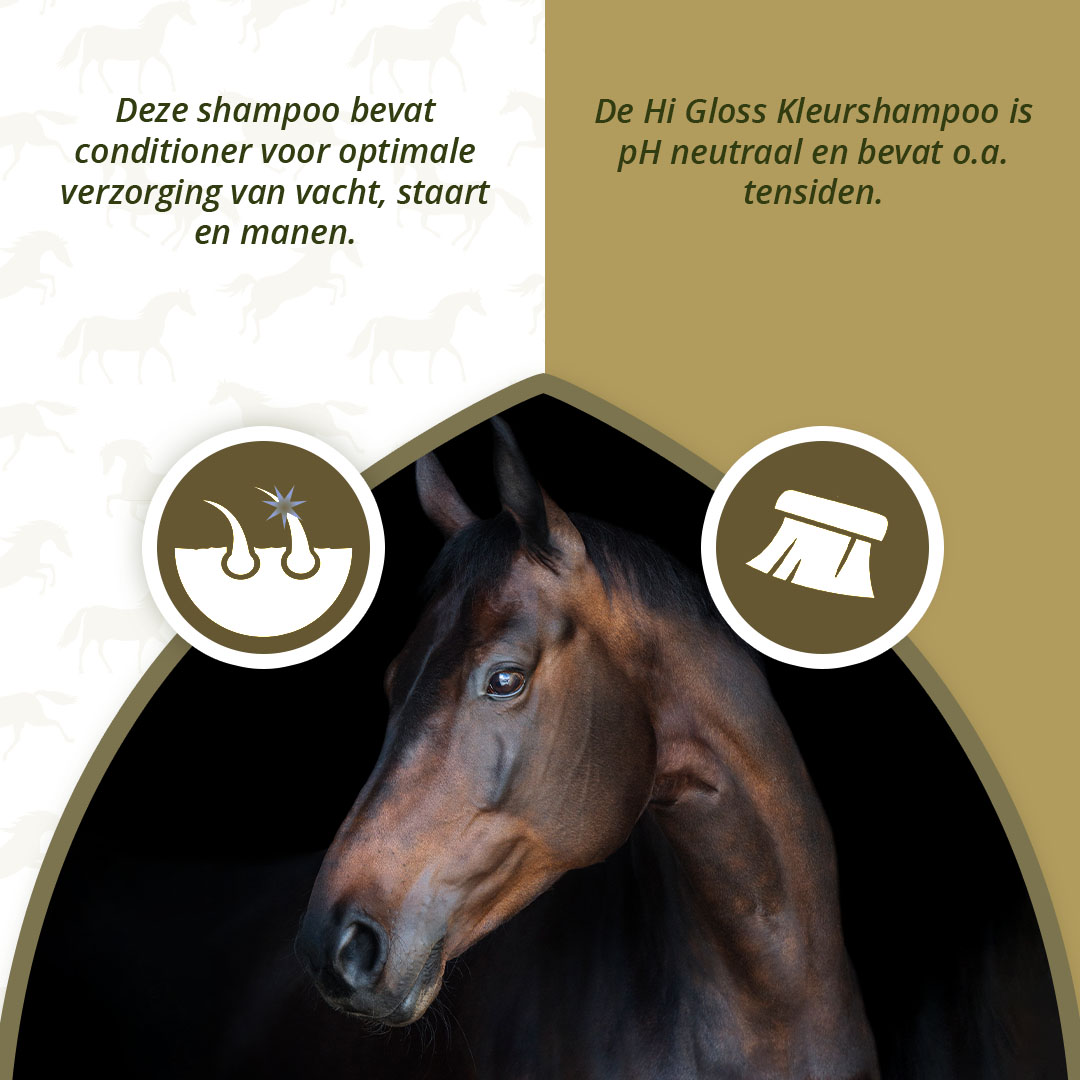 Excellent Horse Hi Gloss Shampoo White 500 ml 2026 Excellent Horse Hi Gloss Shampoo White 500 ml - Afbeelding 3