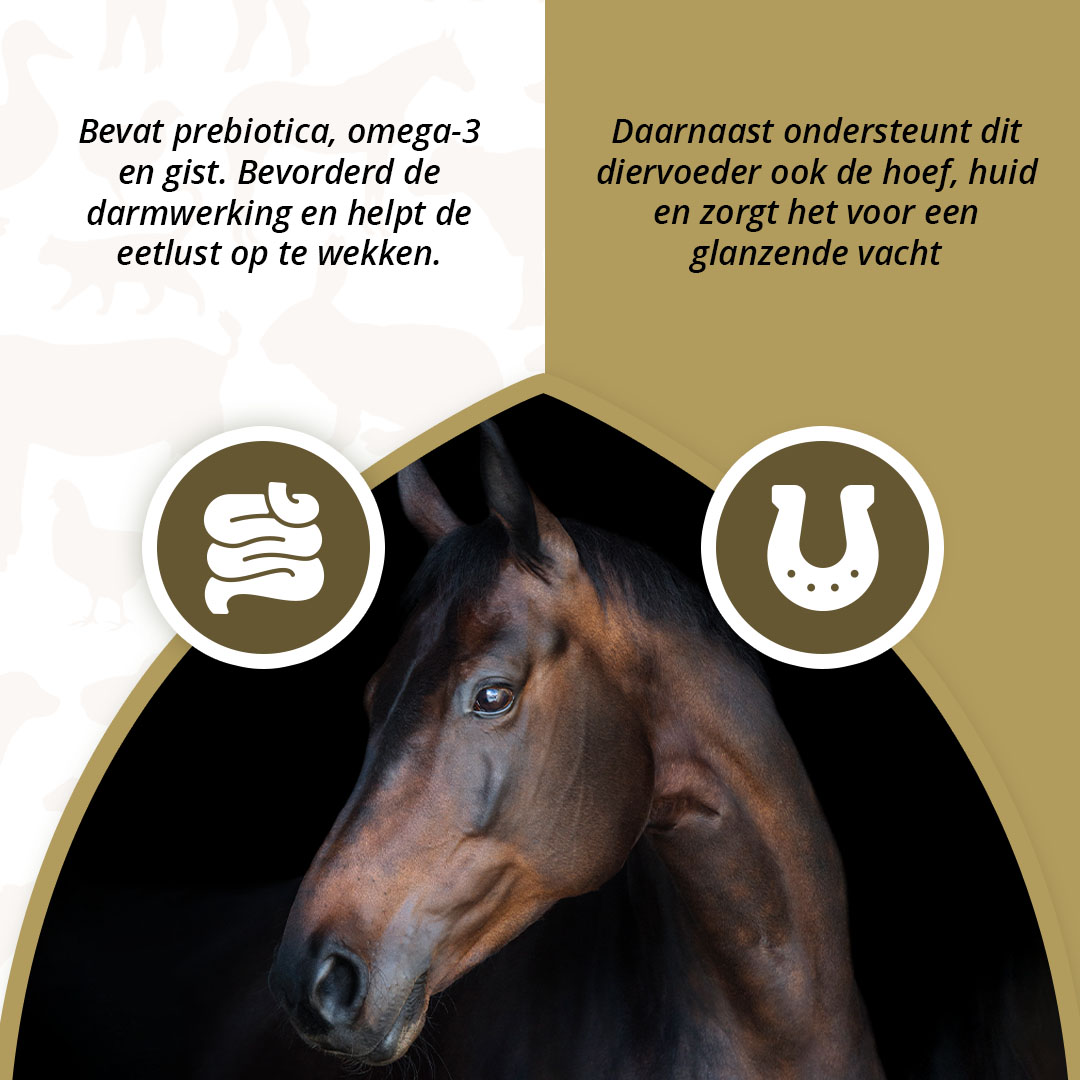 Excellent Horse Prebiotics 2,5 kg 2026 Excellent Horse Prebiotics 2,5 kg - Afbeelding 3