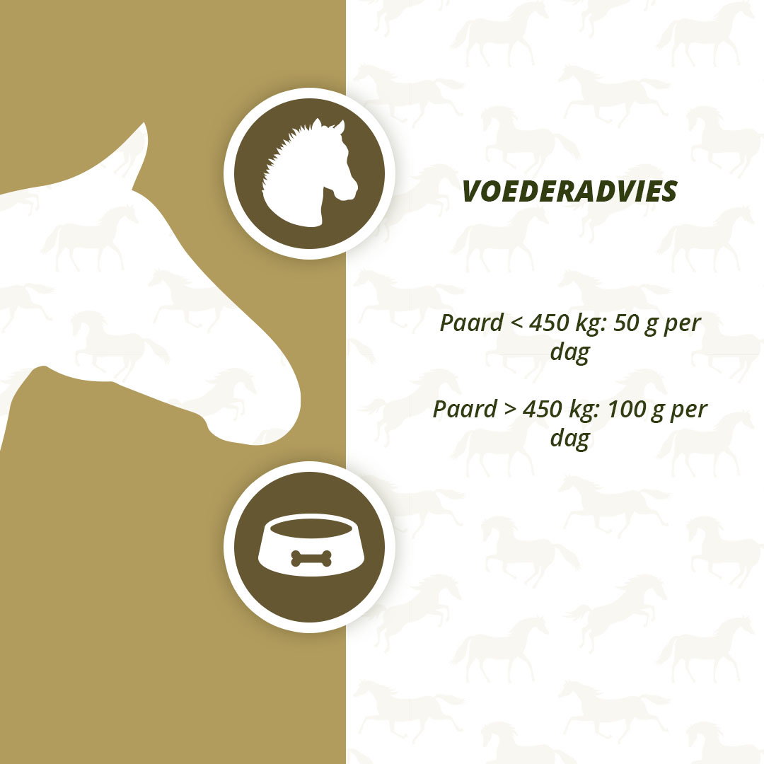 Excellent Horse Prebiotics 2,5 kg 2026 Excellent Horse Prebiotics 2,5 kg - Afbeelding 4