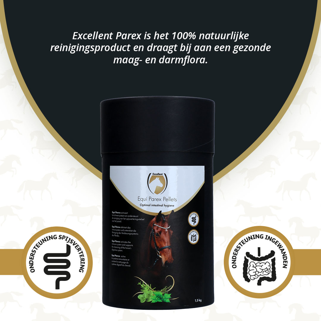 Excellent Horse Parex 1,5 kg 2026 Excellent Horse Parex 1,5 kg - Afbeelding 2