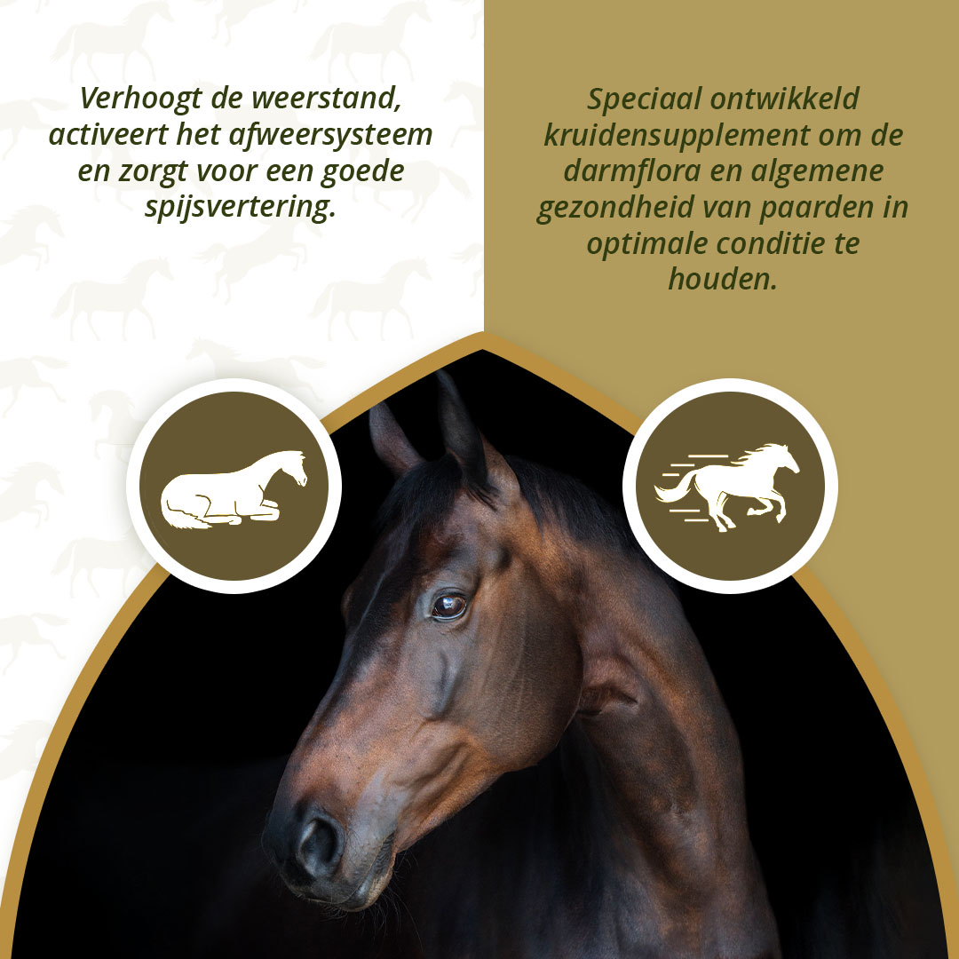 Excellent Horse Parex 1,5 kg 2026 Excellent Horse Parex 1,5 kg - Afbeelding 3