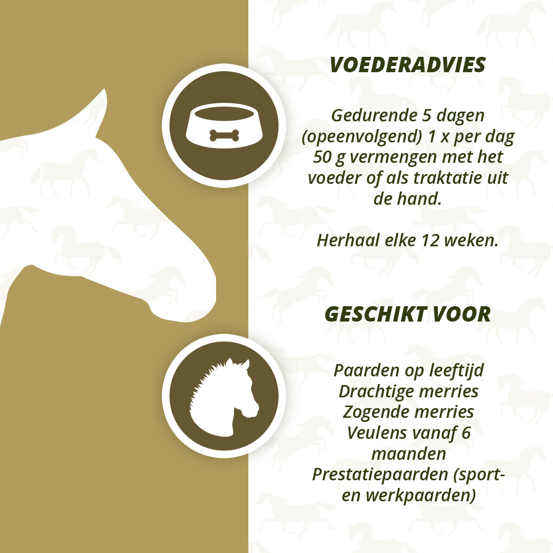Excellent Horse Parex 1,5 kg 2026 Excellent Horse Parex 1,5 kg - Afbeelding 4