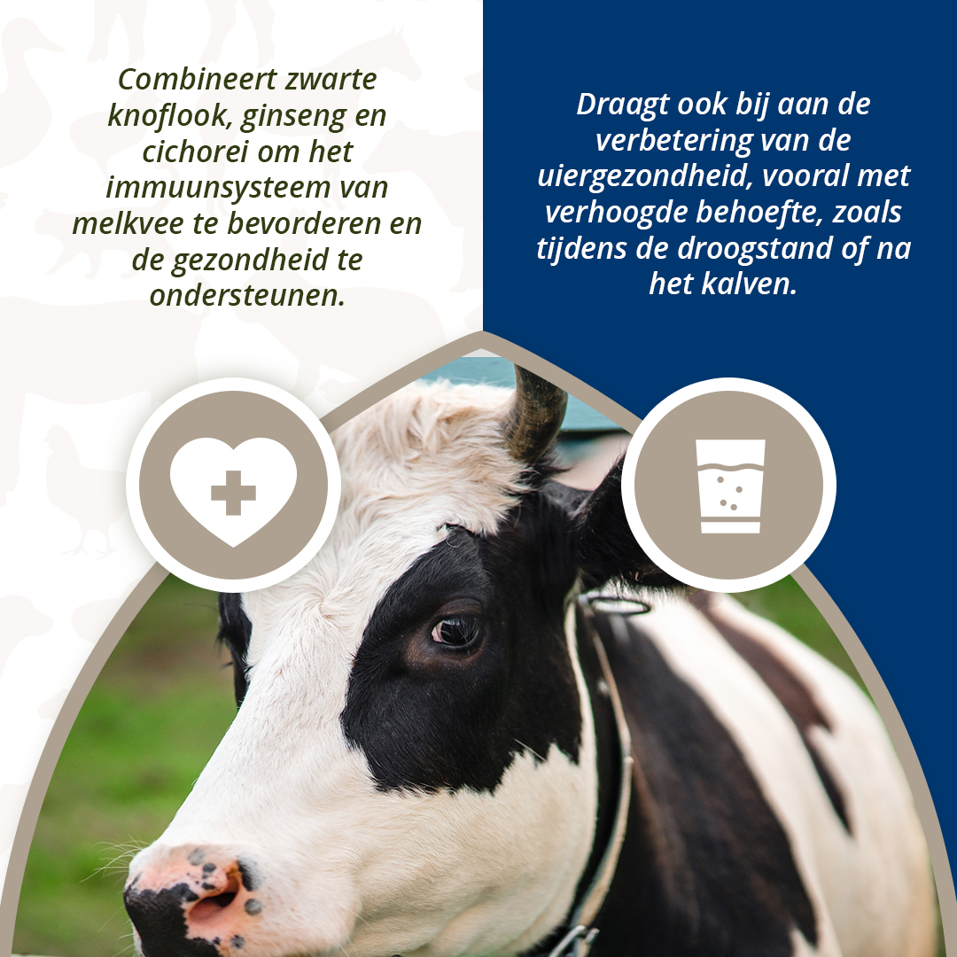 Direct Udder Support 4 x 60 g 2026 Direct Udder Support 4 x 60 g - Afbeelding 4