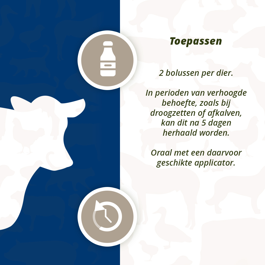 Direct Udder Support 4 x 60 g 2026 Direct Udder Support 4 x 60 g - Afbeelding 5