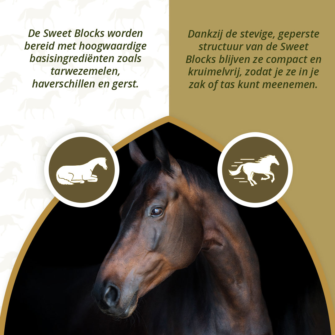 Excellent Horse Sweet Blocks Herbs 1 kg 2026 Excellent Horse Sweet Blocks Herbs 1 kg - Afbeelding 3