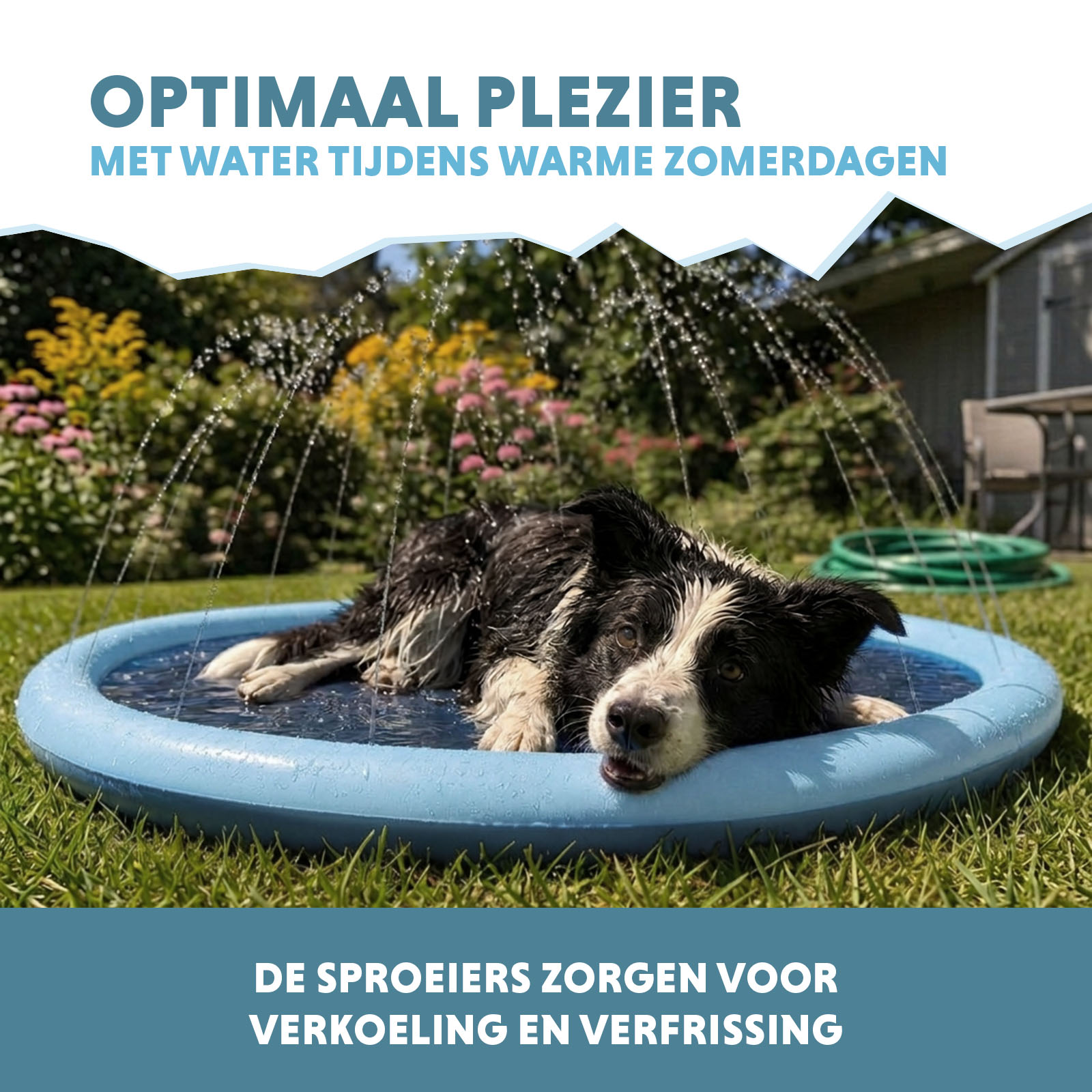 Coolpets Splash Sprinkler Pad S 100 cm 2026 Coolpets Splash Sprinkler Pad S 100 cm - Afbeelding 4