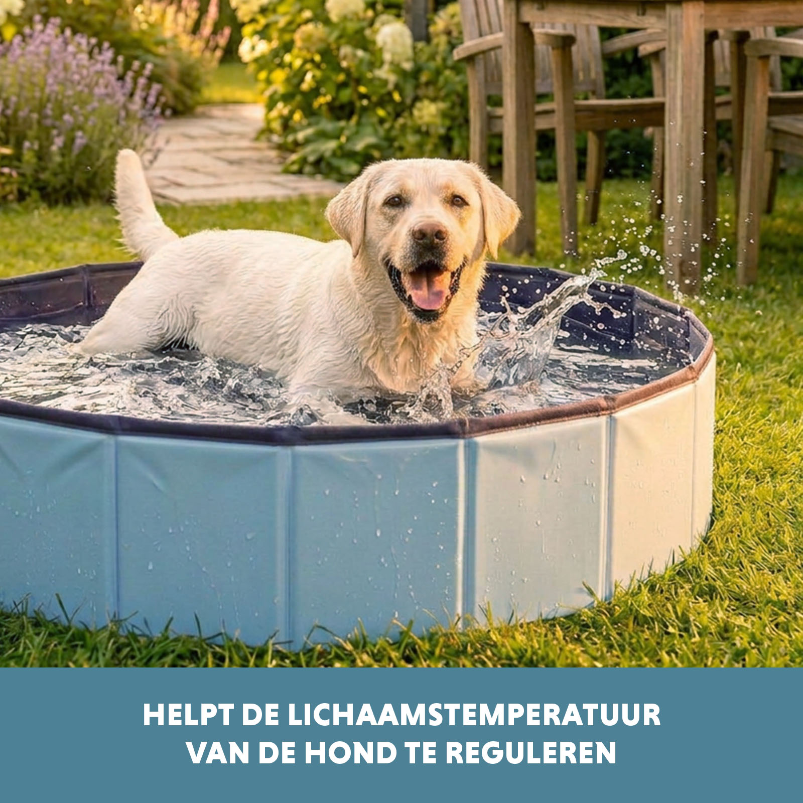 CoolPets Splash Dog Pool ø 120 x 30 cm 2026 CoolPets Splash Dog Pool ø 120 x 30 cm - Afbeelding 6