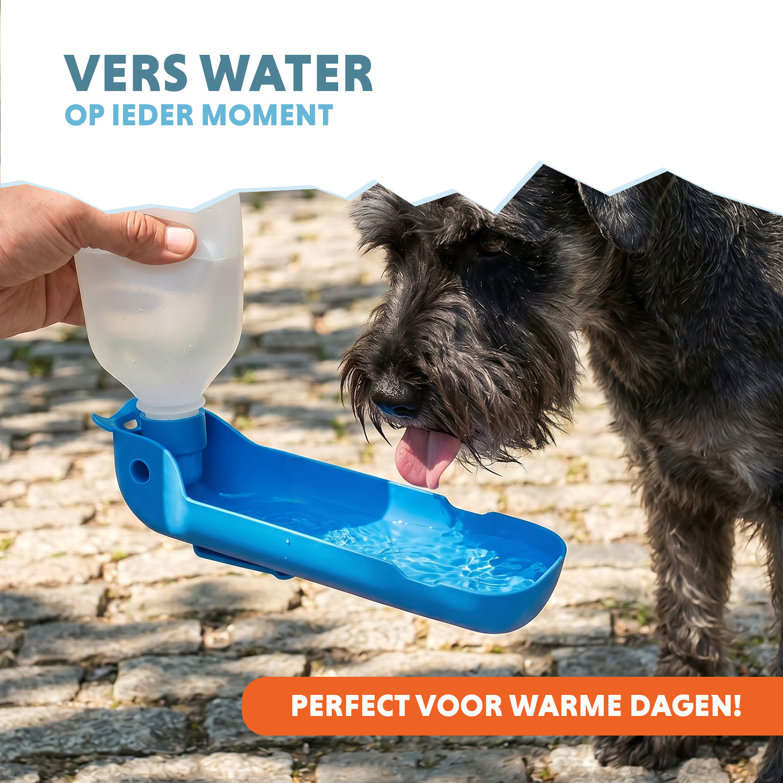 CoolPets Fresh 2GO 300 ml 2026 CoolPets Fresh 2GO 300 ml - Afbeelding 2