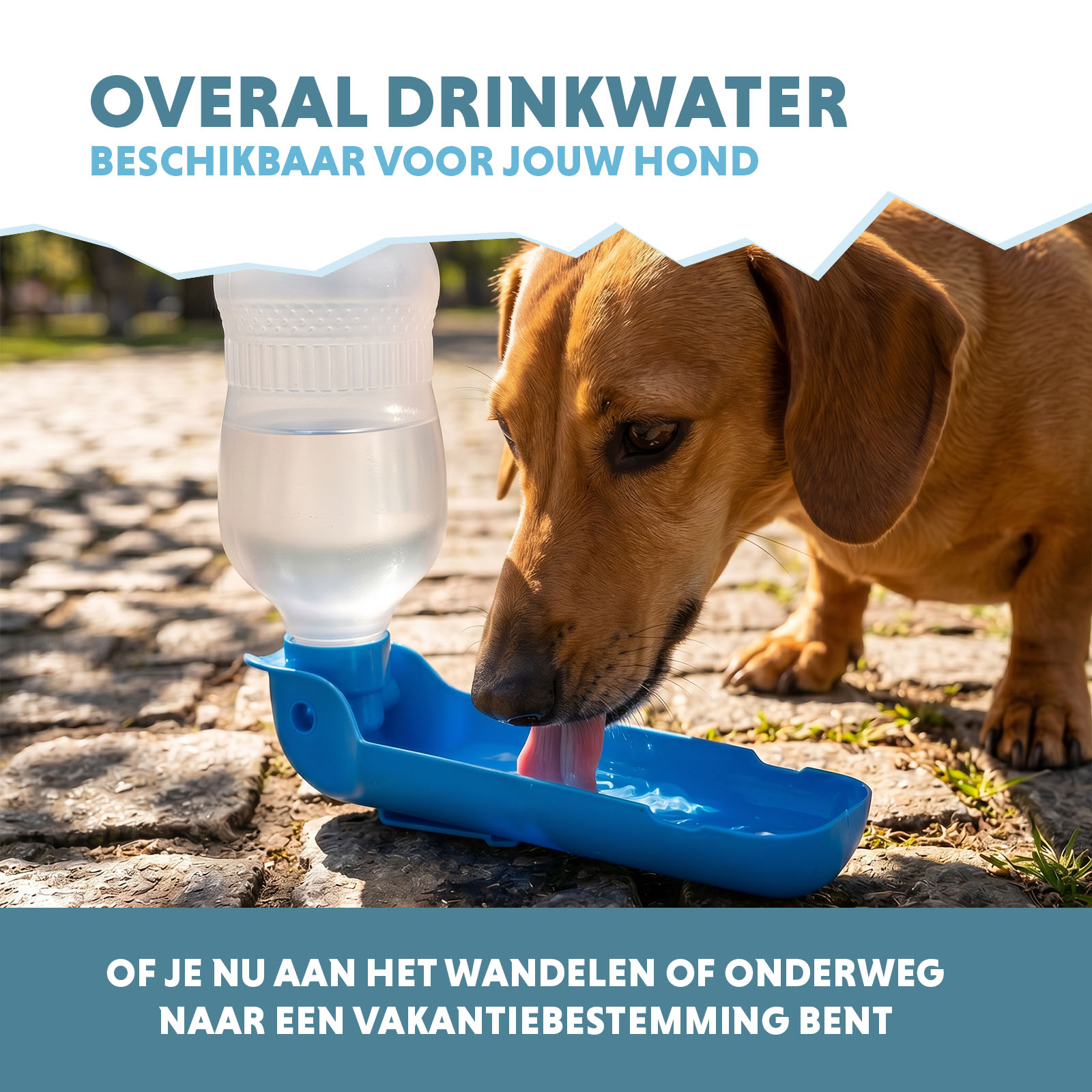 CoolPets Fresh 2GO 300 ml 2026 CoolPets Fresh 2GO 300 ml - Afbeelding 4