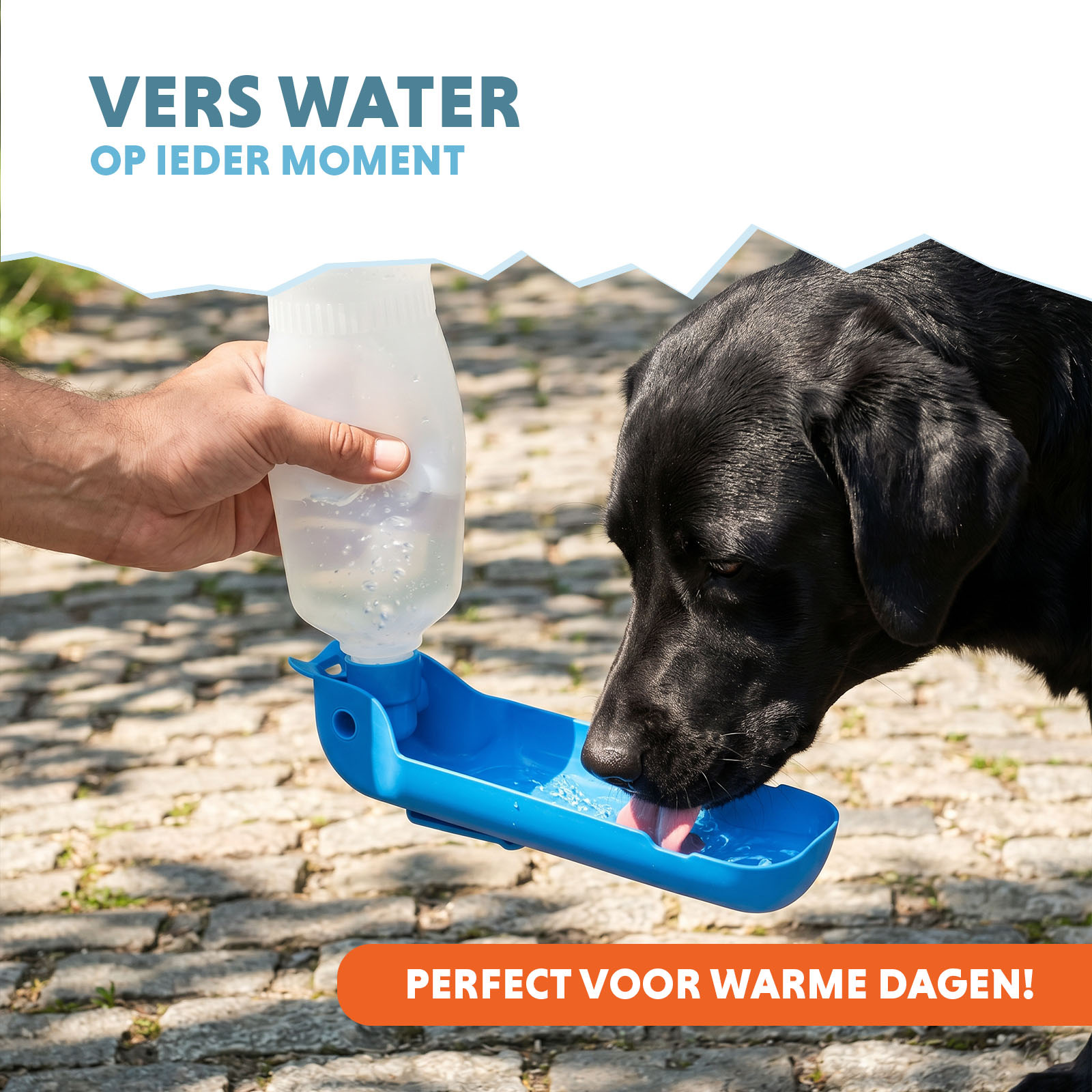 CoolPets Fresh 2GO 500 ml 2026 CoolPets Fresh 2GO 500 ml - Afbeelding 2