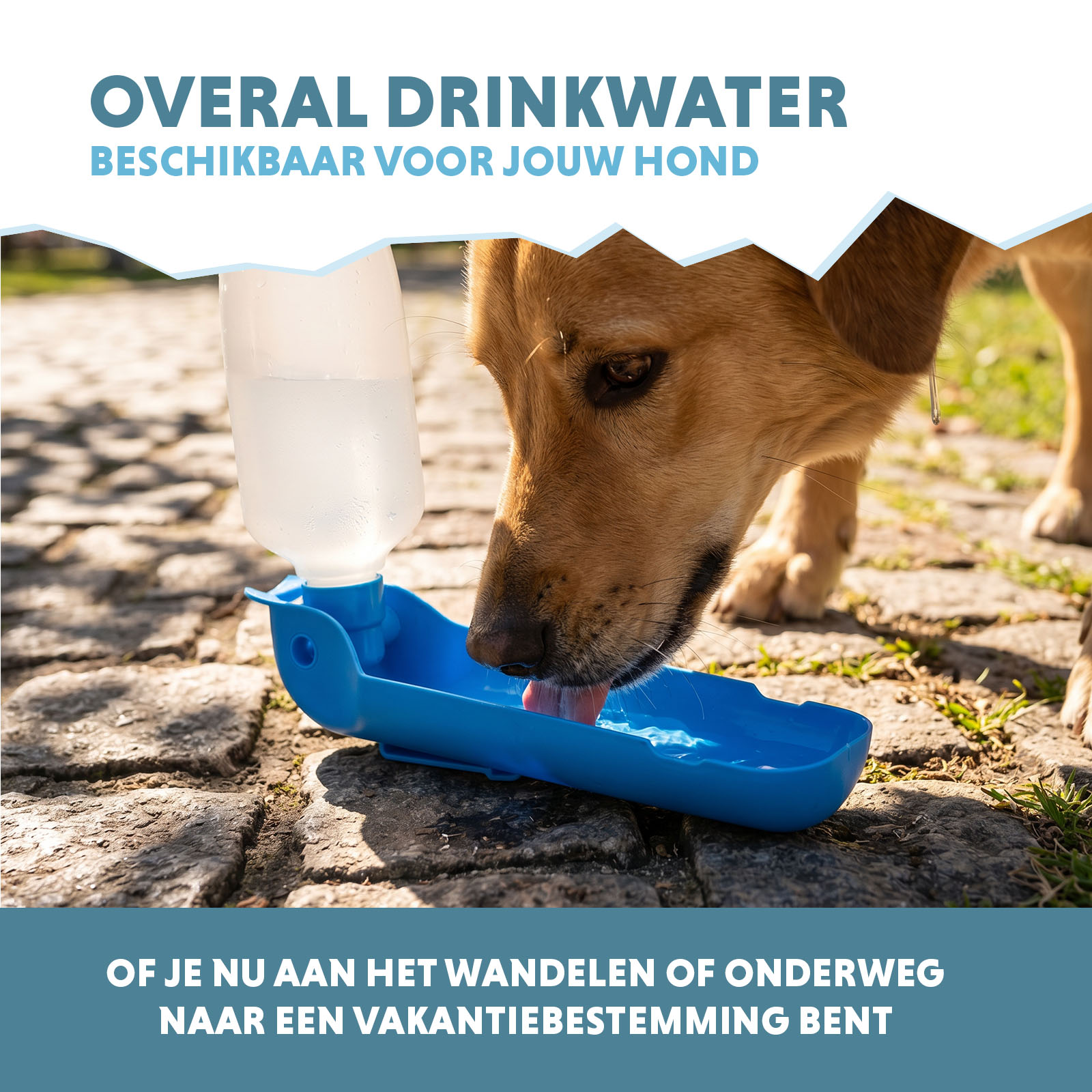CoolPets Fresh 2GO 500 ml 2026 CoolPets Fresh 2GO 500 ml - Afbeelding 4