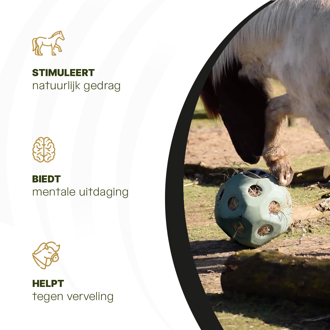 Excellent Horse Feed & Play Ball Groen 2026 Excellent Horse Feed & Play Ball Groen - Afbeelding 6