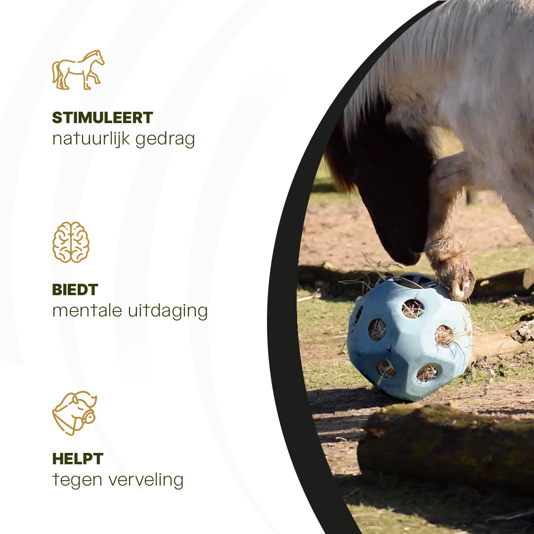 Excellent Horse Feed & Play Ball Blauw 2026 Excellent Horse Feed & Play Ball Blauw - Afbeelding 6
