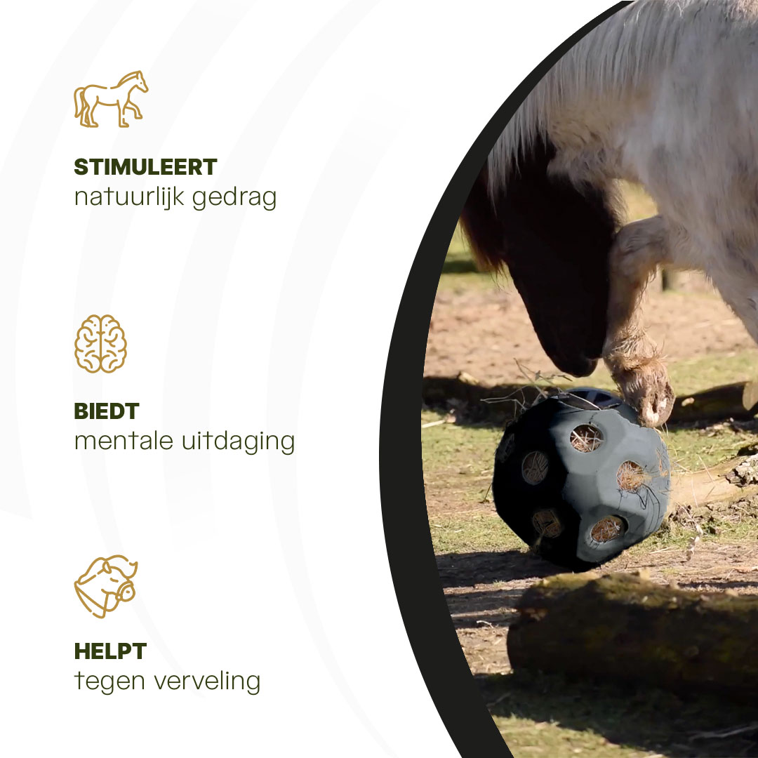 Excellent Horse Feed & Play Ball Zwart 2026 Excellent Horse Feed & Play Ball Zwart - Afbeelding 6