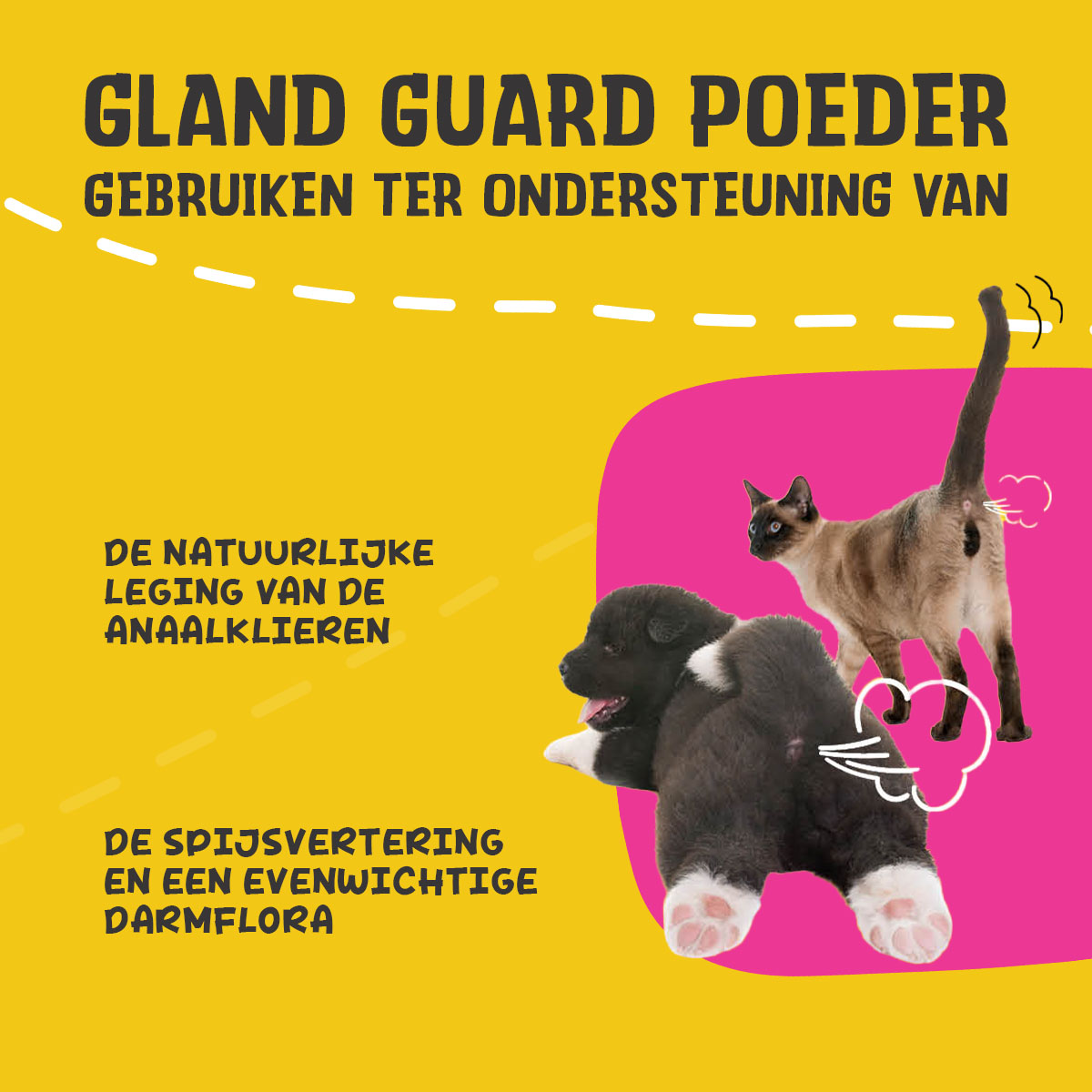 Excellent Pets Gland Guard Poeder 2026 Excellent Pets Gland Guard Poeder - Afbeelding 3