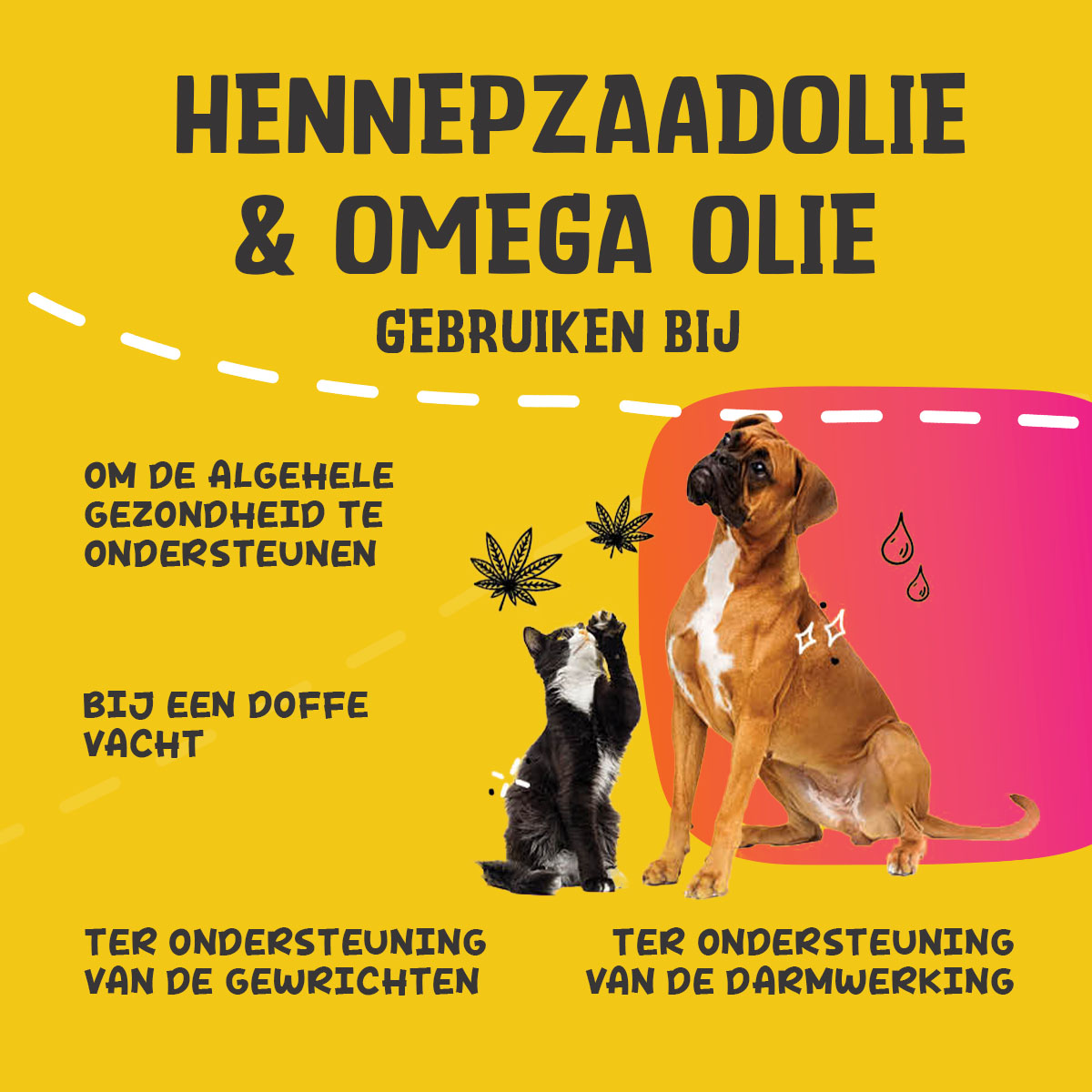 Excellent Pets HempOne + Omega Oil 100 ml 2026 Excellent Pets HempOne + Omega Oil 100 ml - Afbeelding 2