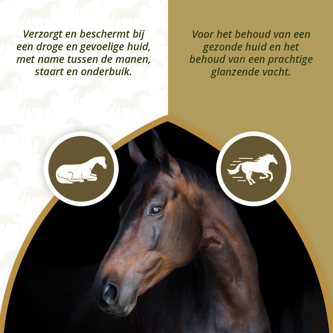 Excellent Horse Itch Stop Feed Oil 1 l 2026 Excellent Horse Itch Stop Feed Oil 1 l - Afbeelding 3