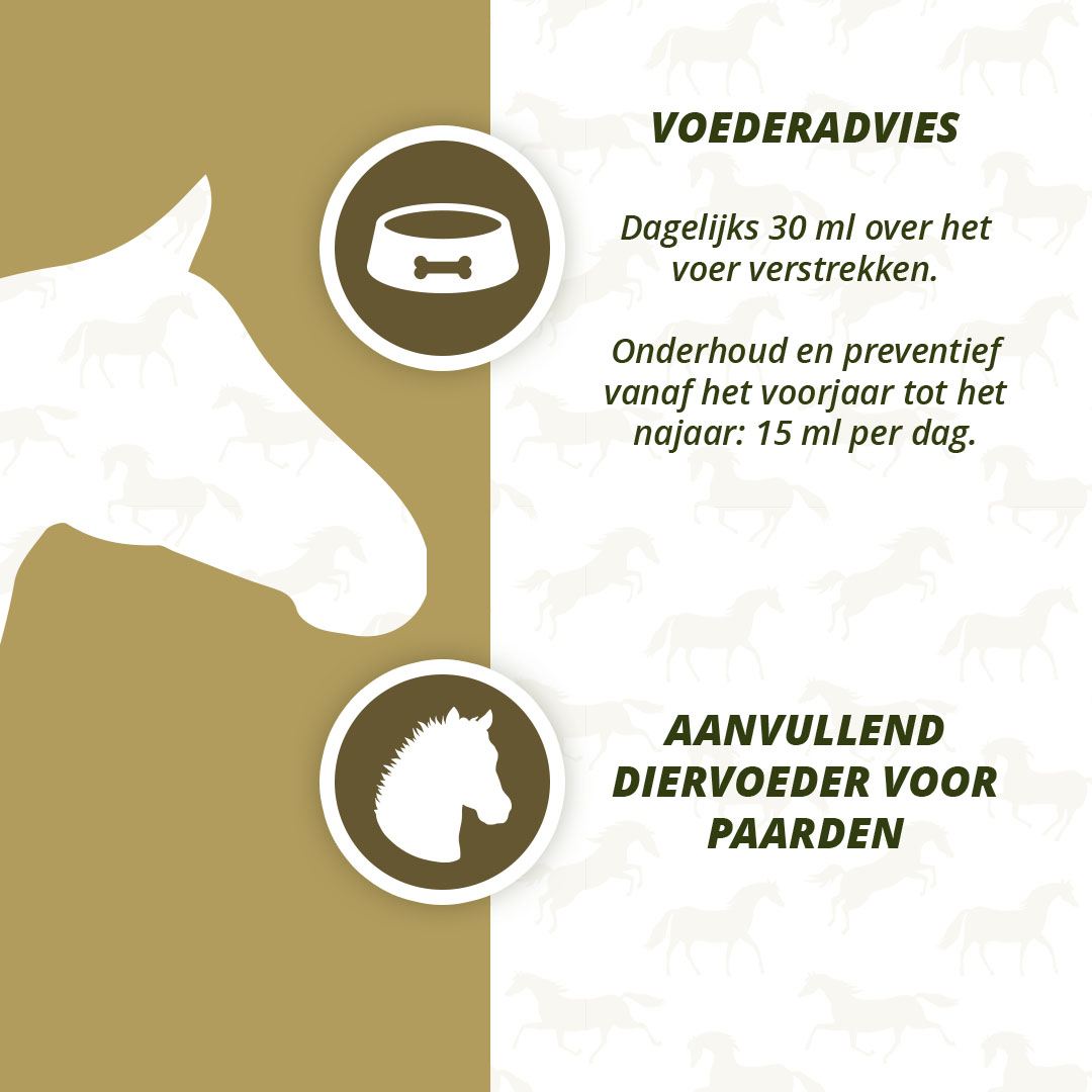 Excellent Horse Itch Stop Feed Oil 1 l 2026 Excellent Horse Itch Stop Feed Oil 1 l - Afbeelding 4