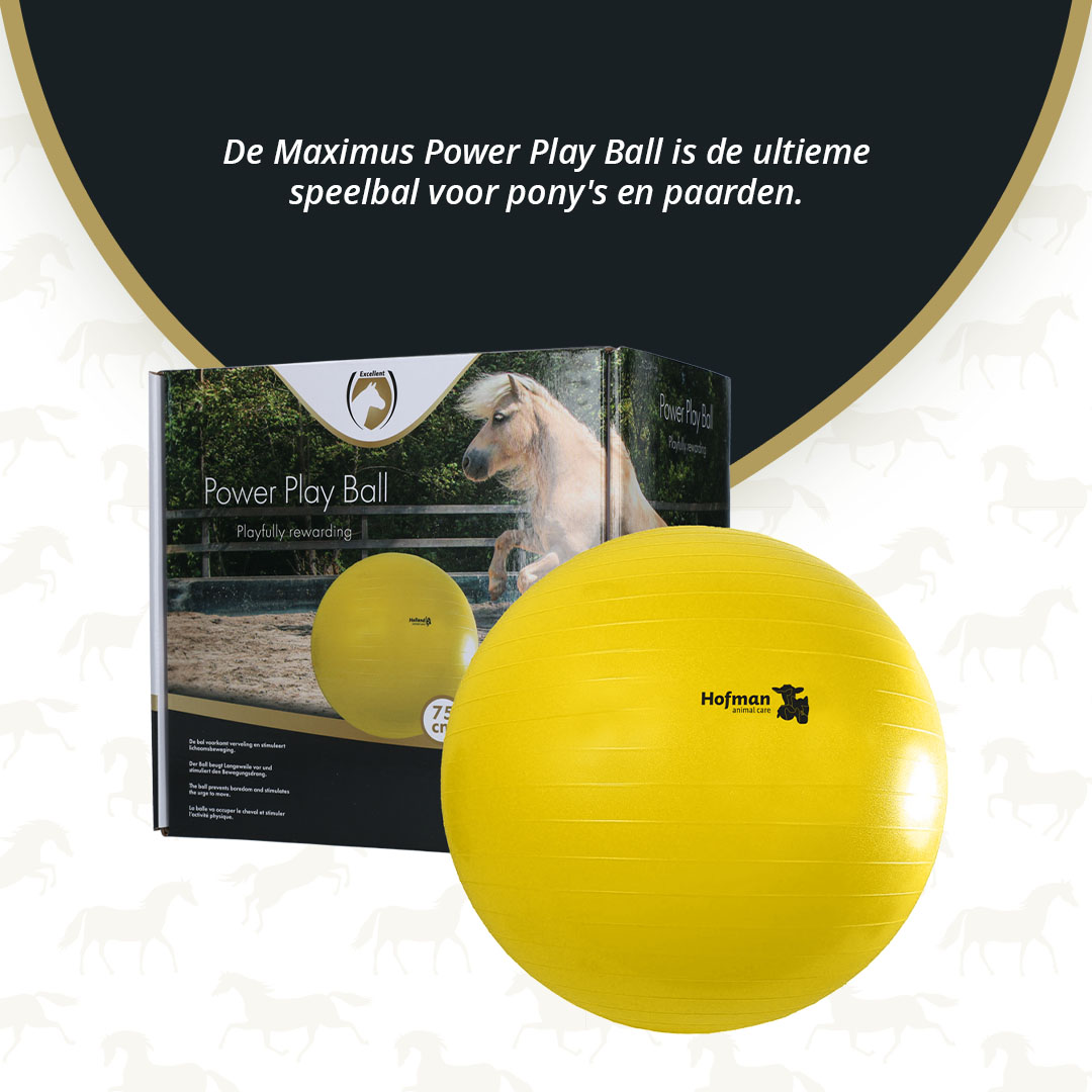 Maximus Power Play Ball 75 cm 2026 Maximus Power Play Ball 75 cm - Afbeelding 3