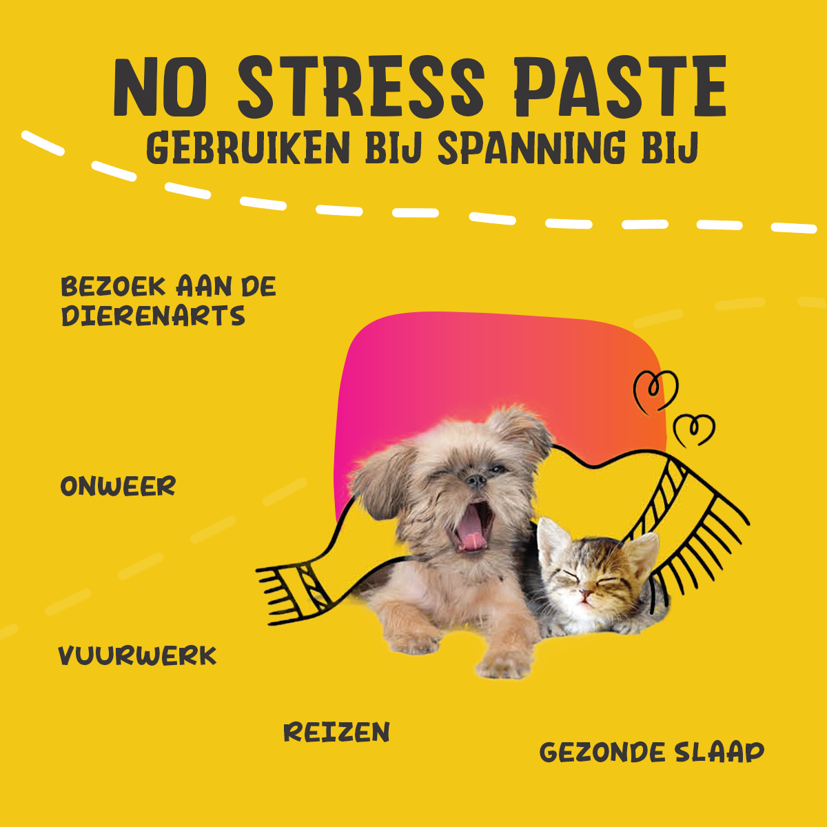 Excellent Pets No Stress Paste 15 ml 2026 Excellent Pets No Stress Paste 15 ml - Afbeelding 6