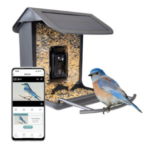 AI Bird Feeder met Camera
