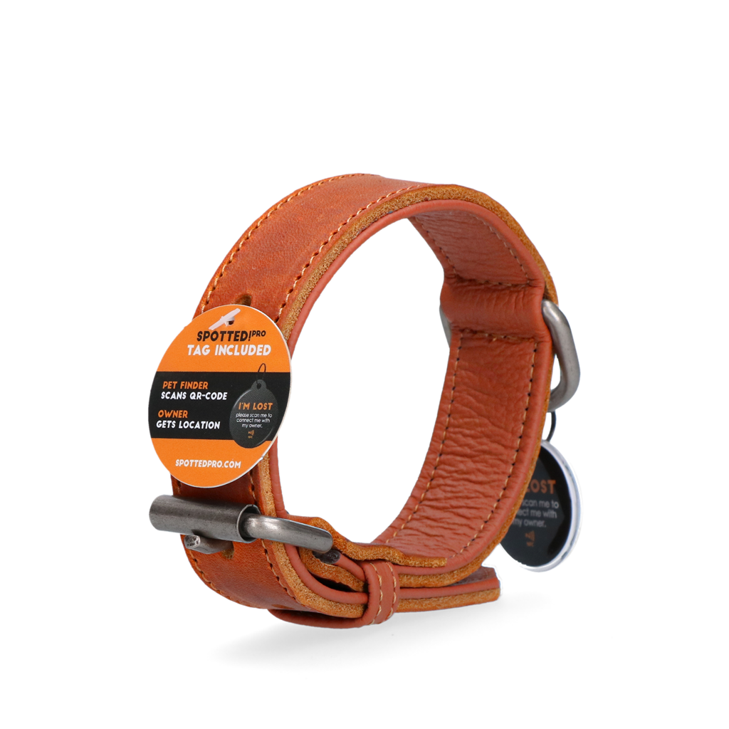Spotted! Pro Leren Halsband Cognac 2,5 x 45 cm 2026 Spotted! Pro Leren Halsband Cognac 2,5 x 45 cm - Afbeelding 3