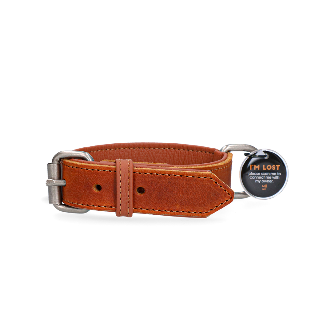 Spotted! Pro Leren Halsband Cognac 2,5 x 45 cm 2026 Spotted! Pro Leren Halsband Cognac 2,5 x 45 cm