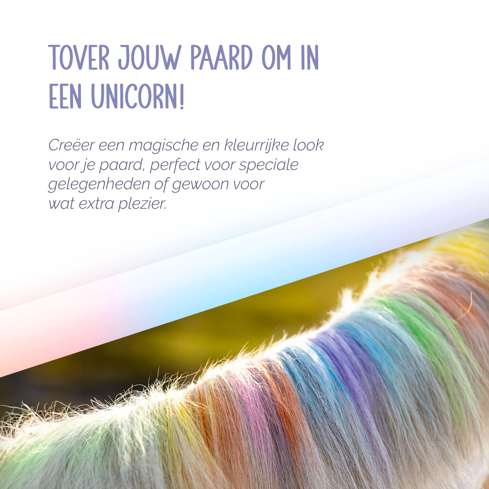 Paardenpraat Regenboog Kleurkrijt 2026 Paardenpraat Regenboog Kleurkrijt - Afbeelding 6