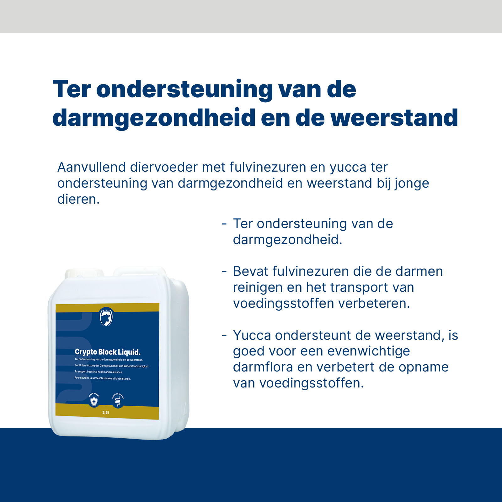 Excellent Crypto Block Liquid 2,5L 2026 Excellent Crypto Block Liquid 2,5L - Afbeelding 2