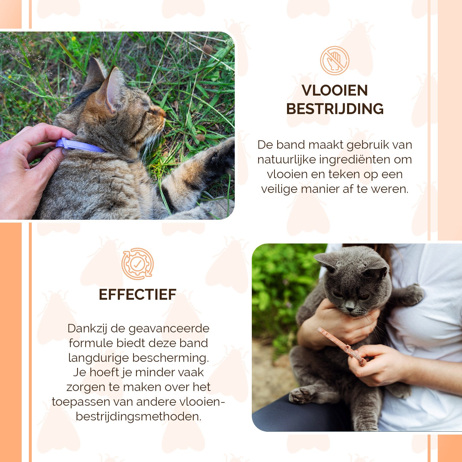 Knock Pest Vlooien/Tekenband Kat 33 cm NL/FR 2026 Knock Pest Vlooien/Tekenband Kat 33 cm NL/FR - Afbeelding 4